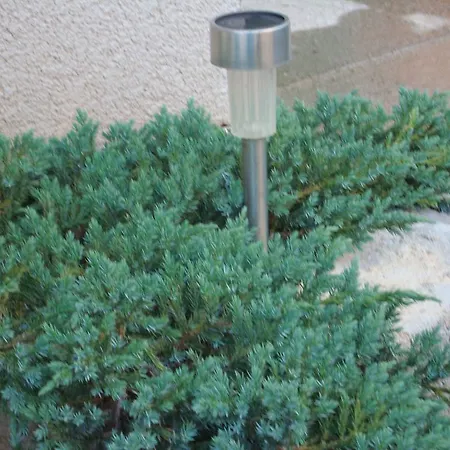 Διαμέρισμα Ella *