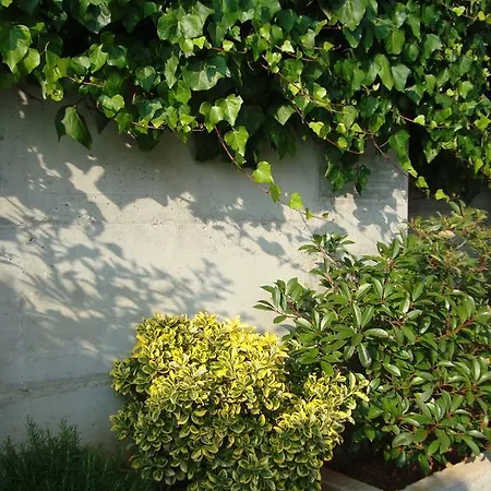 Διαμέρισμα Ella